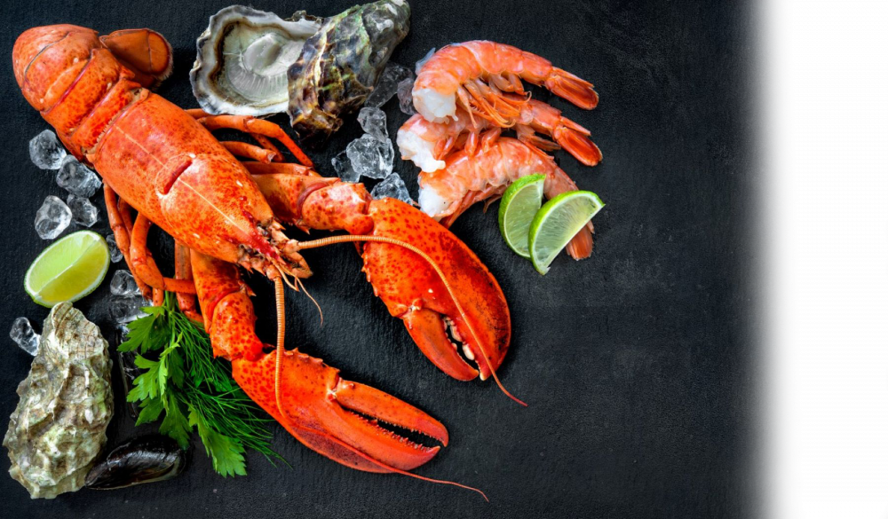 Best Fish & Seafood Market Edmonton Catch of the Week!