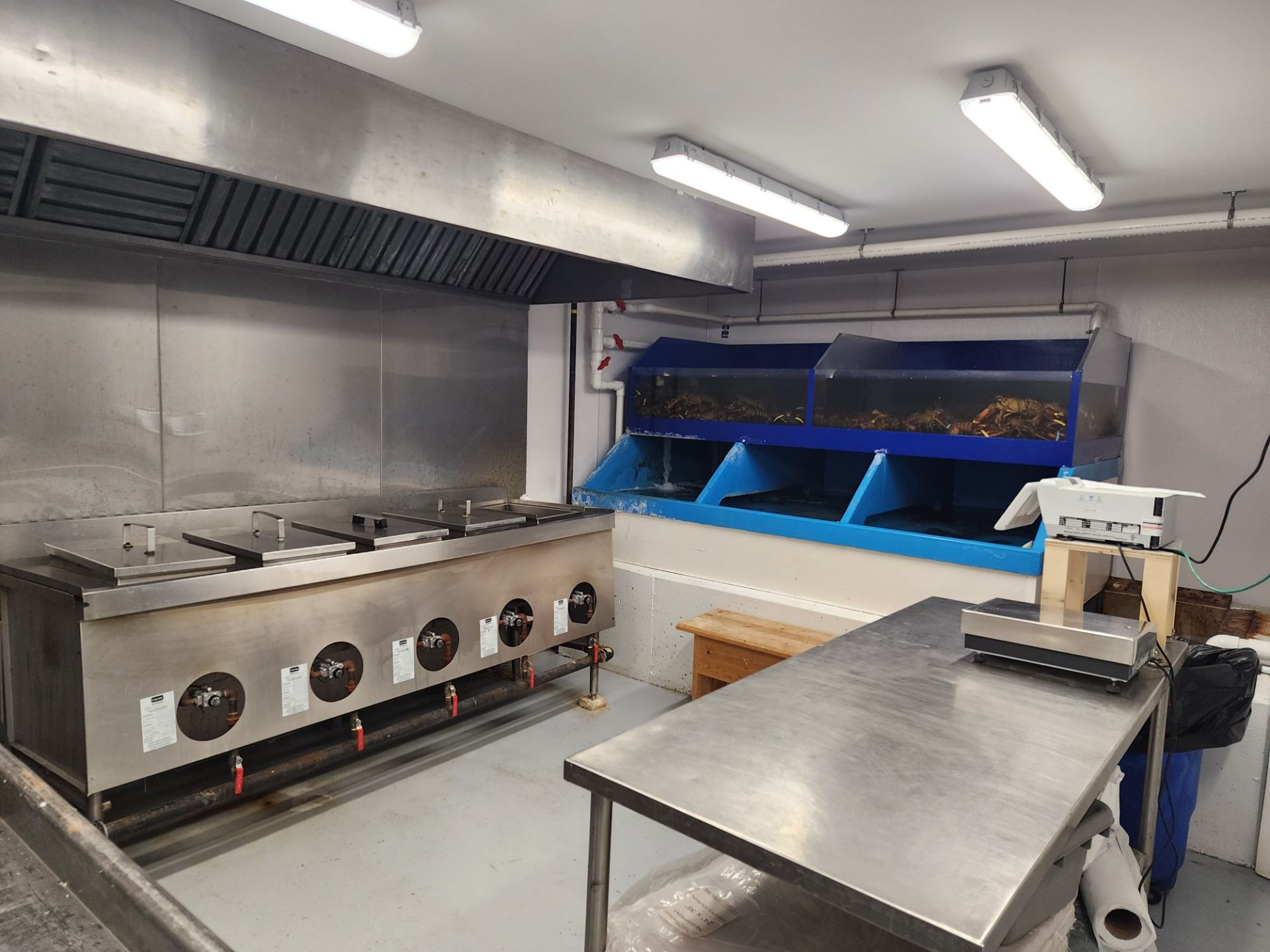 Best Live lobster & Crab Market Edmonton Catch of the Week!