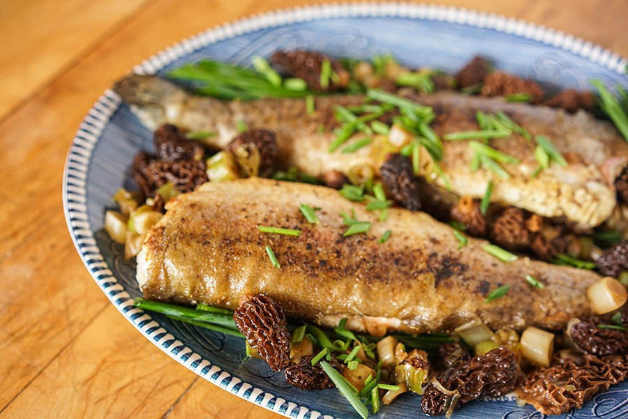 A Match Made in Culinary Heaven Serving Morels with Fish