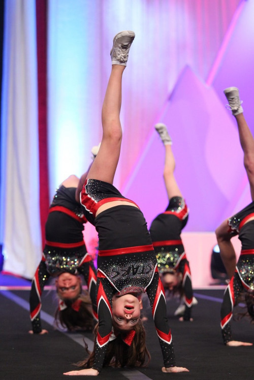 Contact Us Calgary Stars Gymnastics & Cheerleading Centre Calgary, Alberta