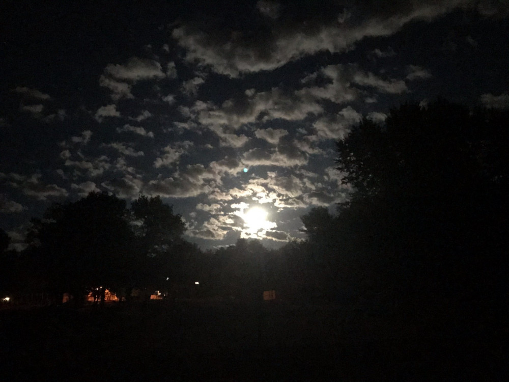 Braun's Riverside Lavender Farm Steep Falls, Maine 04085