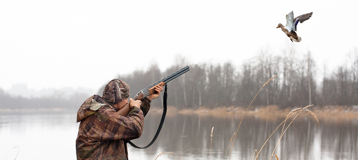 Canada goose bird hunting packages — Harvest Lodge – Harvest Lodge