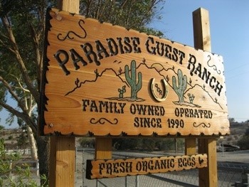 Home  Paradise Guest Ranch