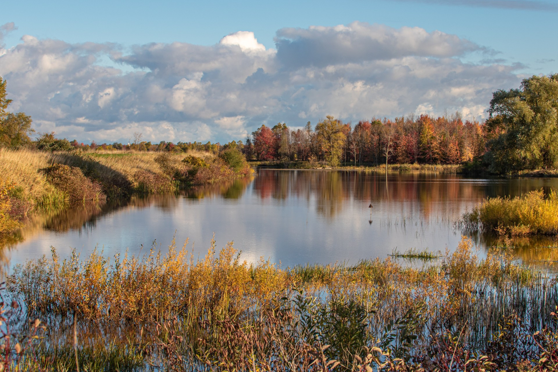 Hullett Marsh Provincial Wildlife Area