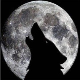 Silver Moon Comics and Collectibles