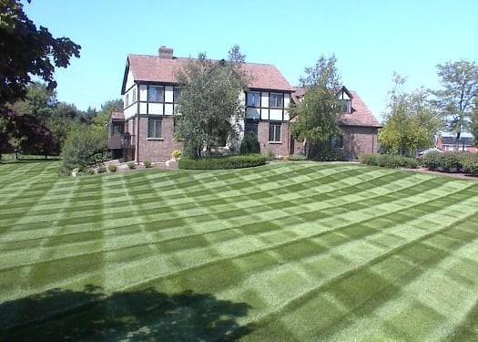 Professional Lawn Care yard clean up service Diamond Cut