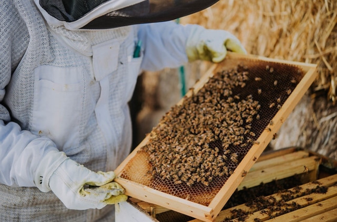 Creek House Honey Farm