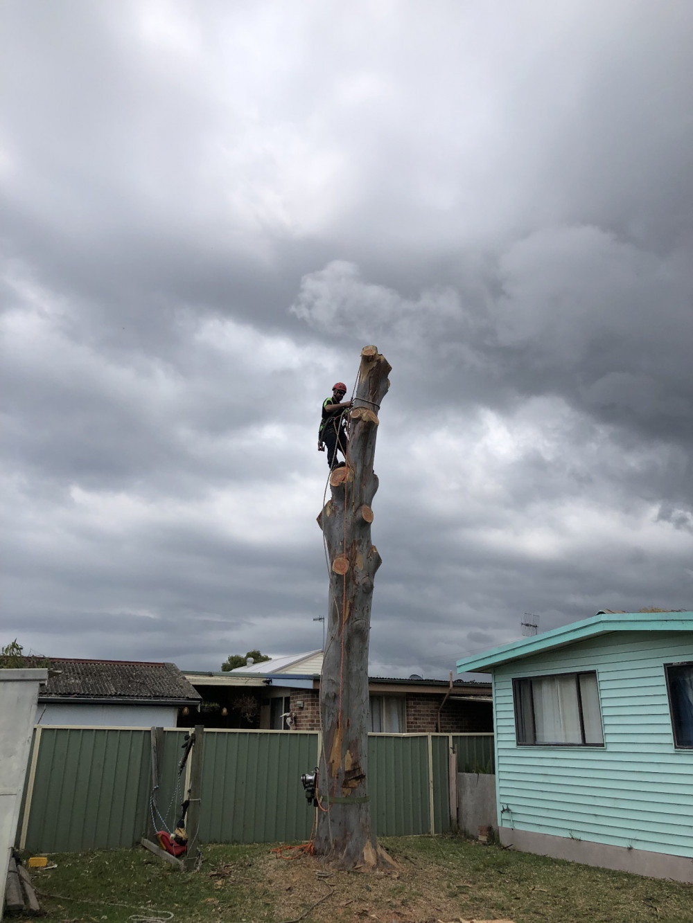 Central Coast Treeworx Providing a wide range of specialized tree