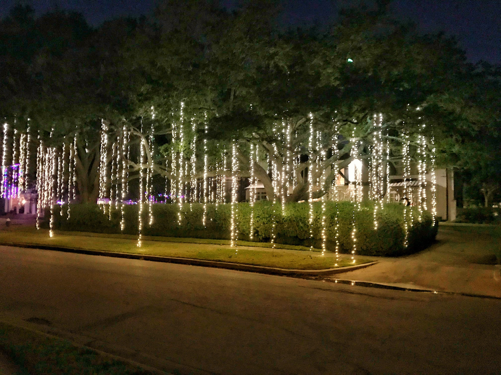 hang christmas lights houston