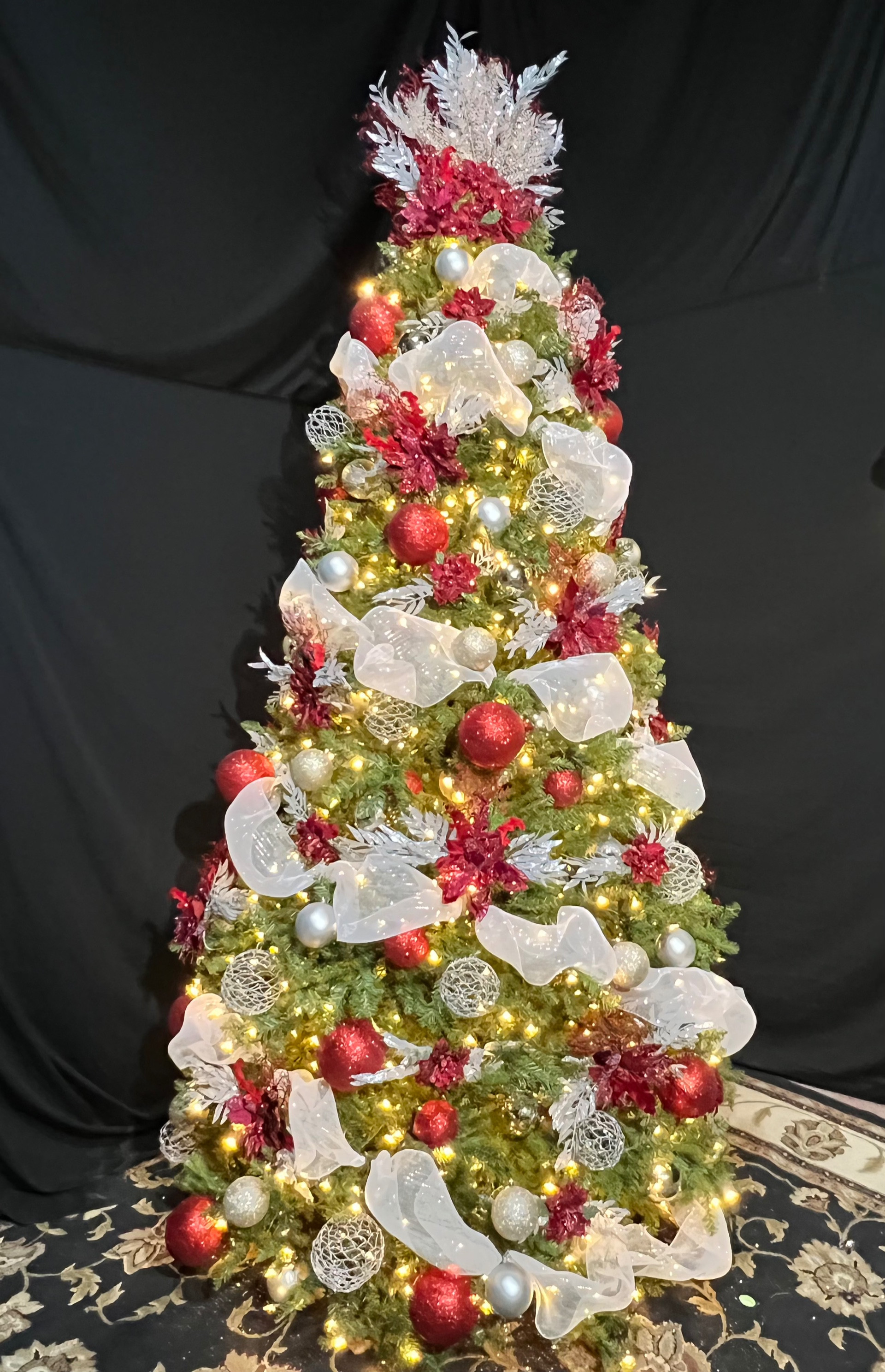 Houston Area Residential Christmas Lighting Packages