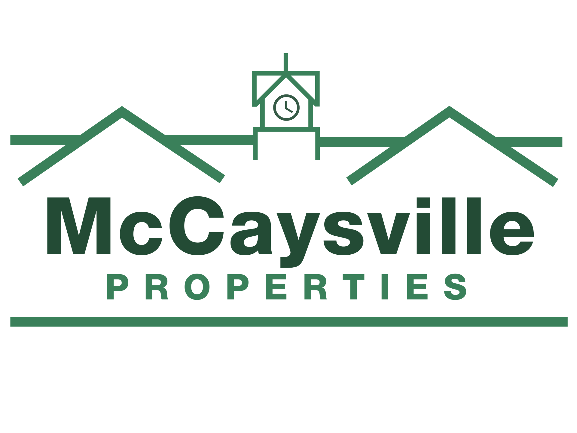 Galinski Enterprises Our Businesses