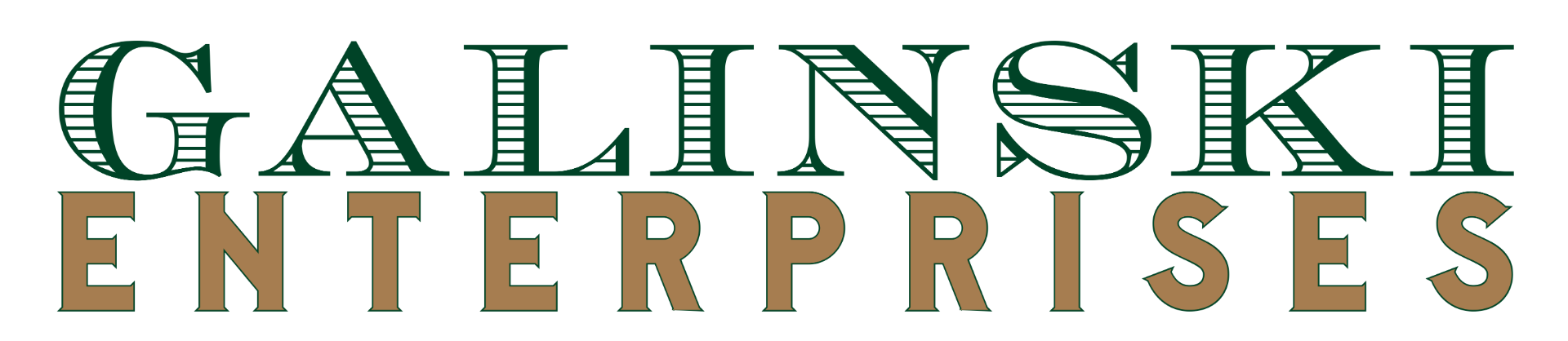 Galinski Enterprises