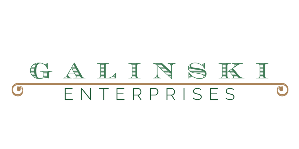 About Galinski Enterprises