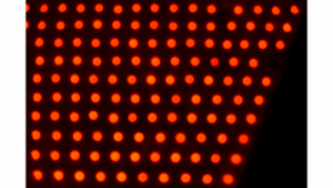 FitBody Studio - Image 7