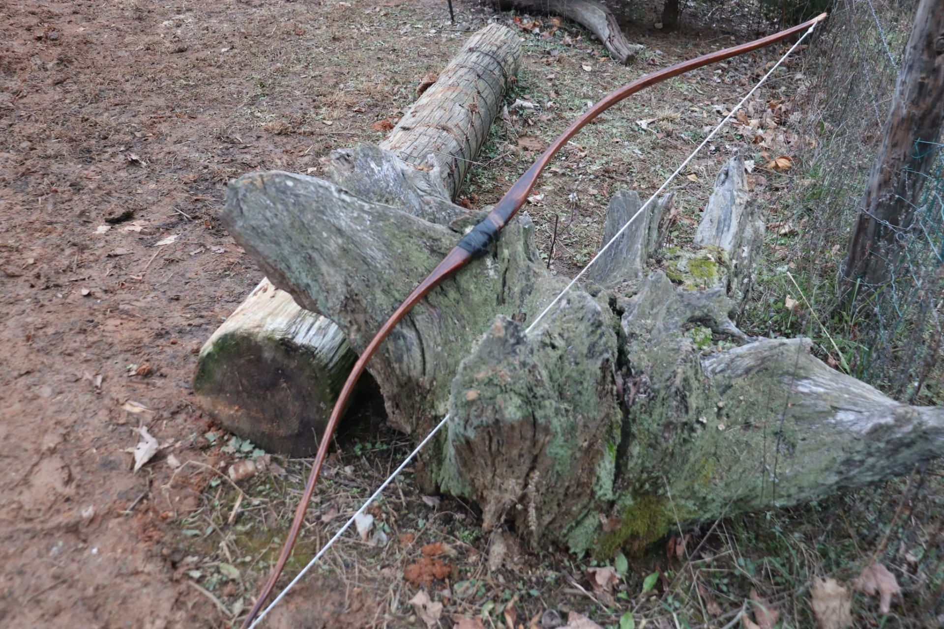 Bamboo backed bow 895