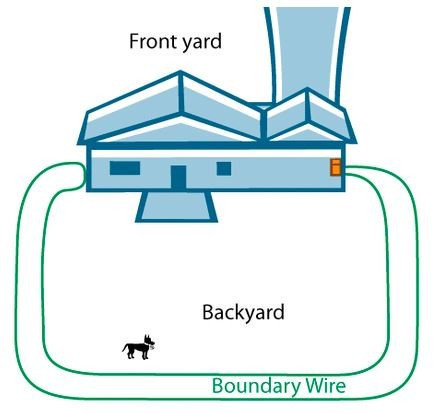 Dog Fence Experts Saving You Money Compared to Invisible Fence®