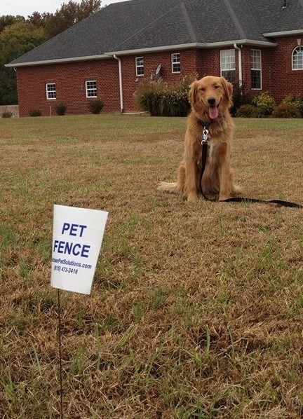 FAQ: Invisible Fence® Brand Outdoor Pet Solutions