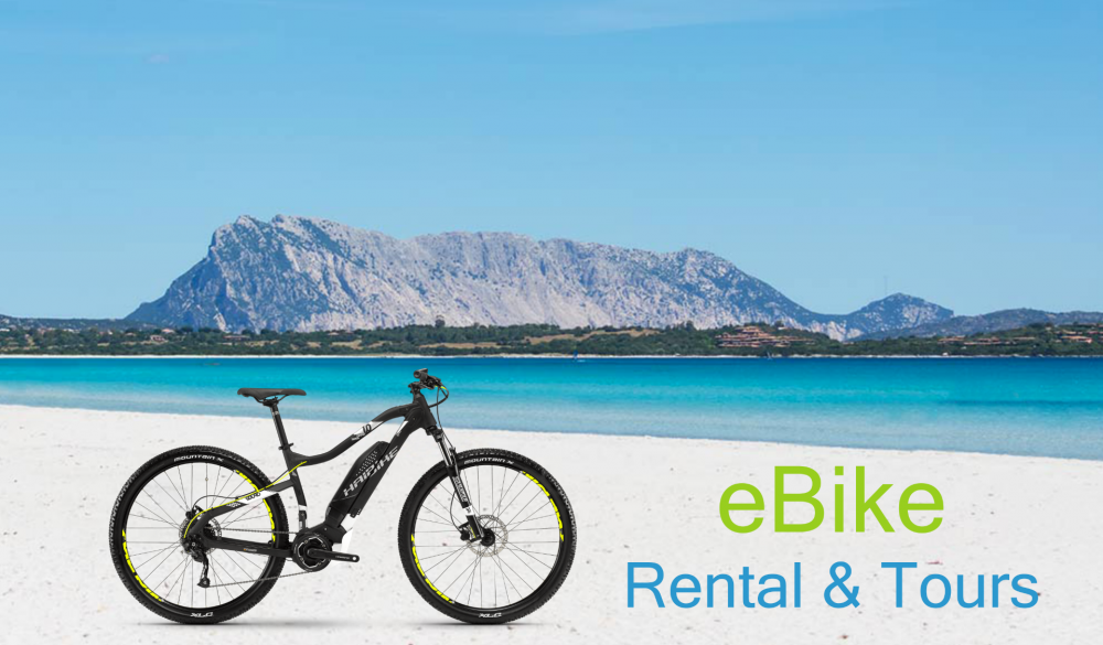 ebike holiday