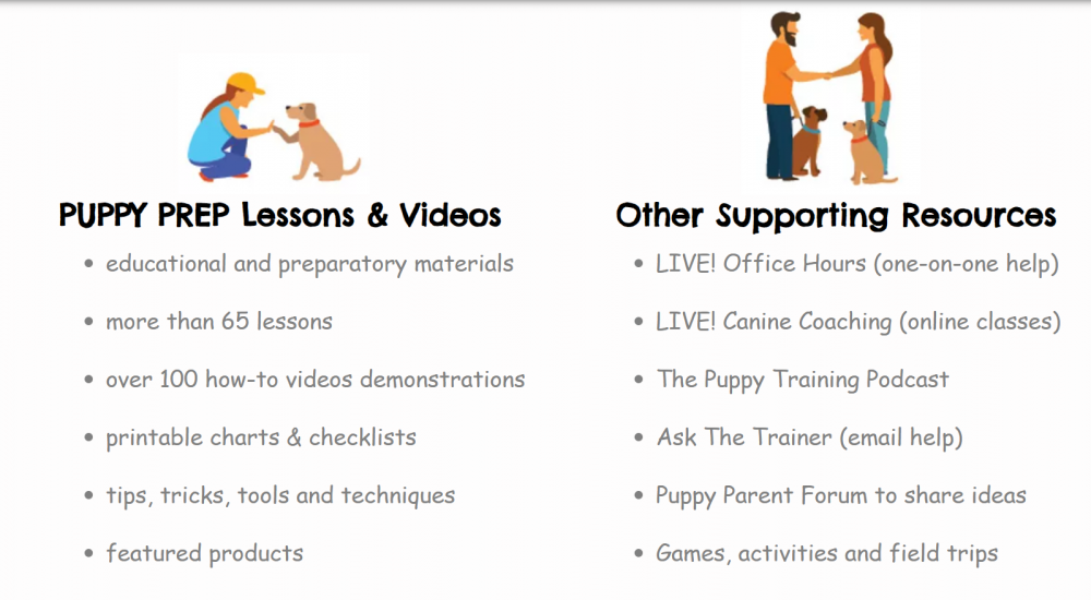 Baxter and Bella Puppy Training