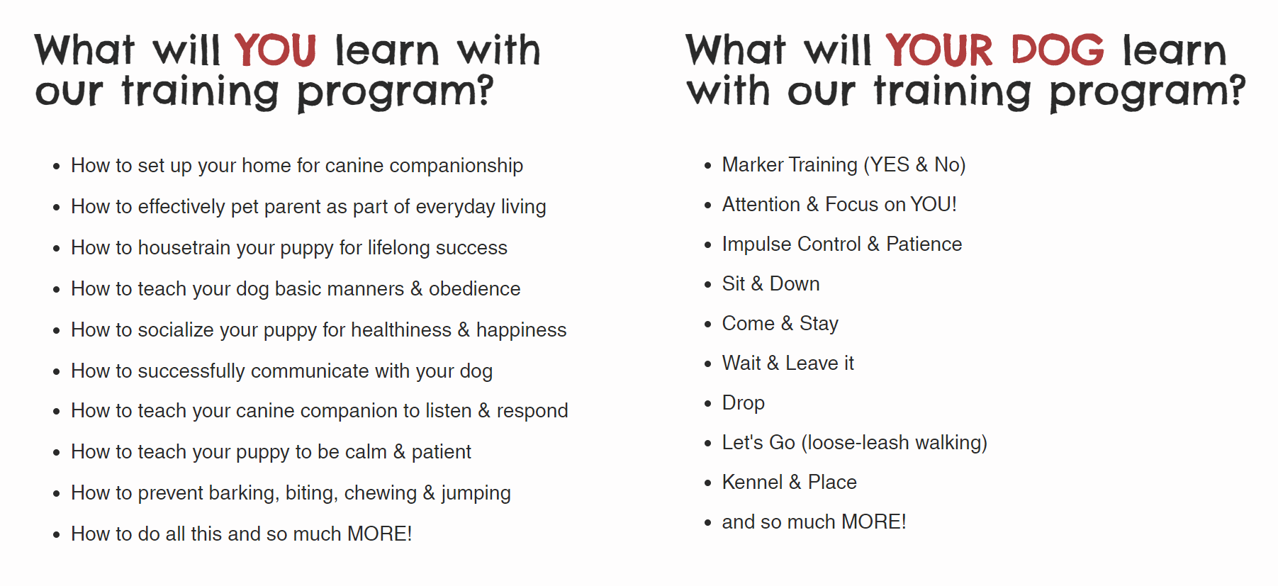 Baxter and Bella Puppy Training