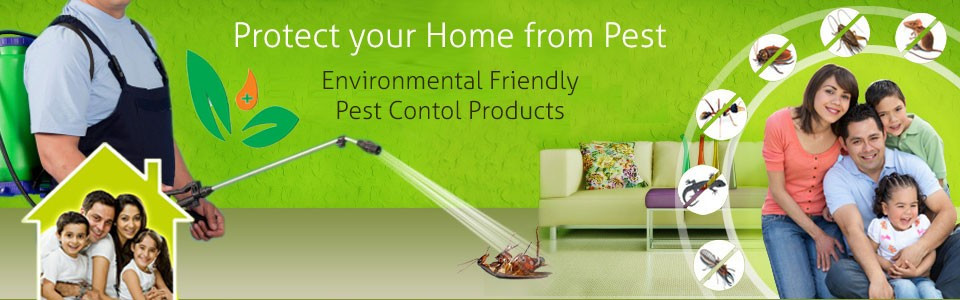 Pest Control Services & Pest Control Specialists