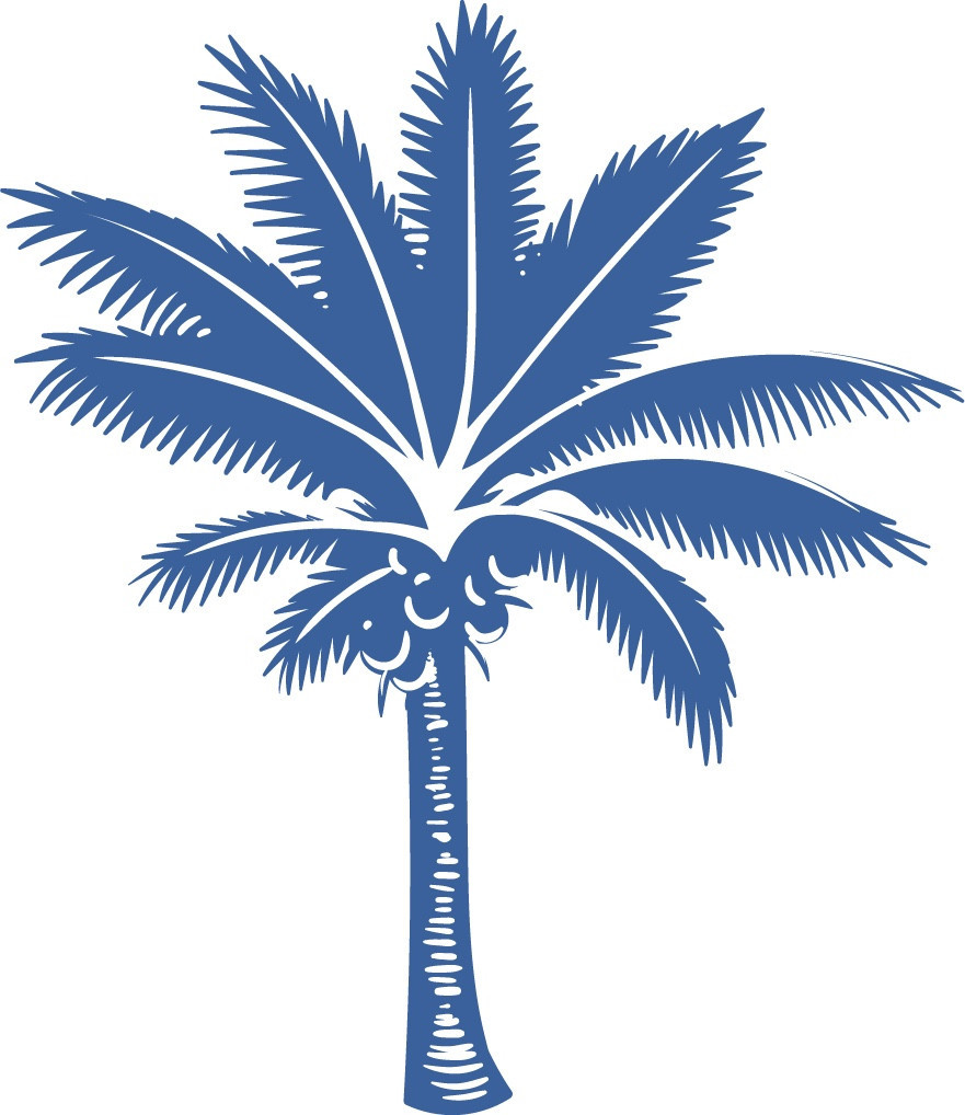 Palm Realty