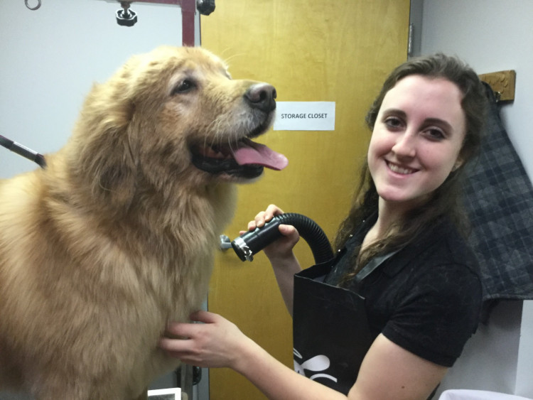 Dog Grooming School of Pennsylvania