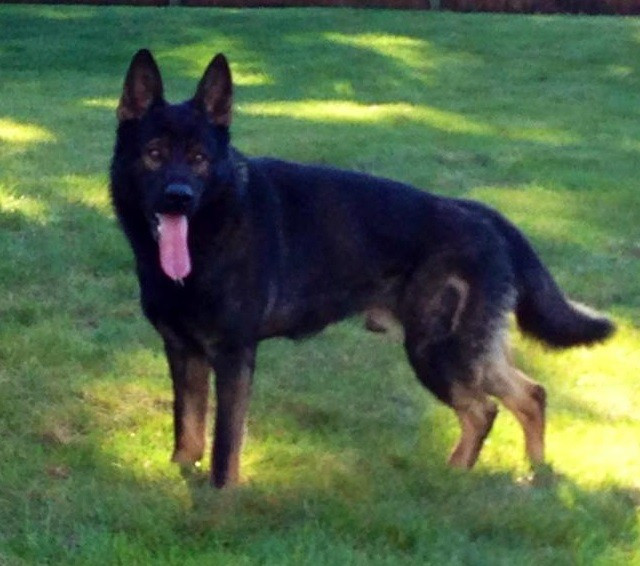 Lord von den Grauen von Monstab