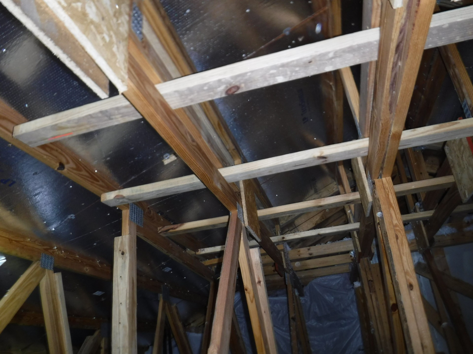 Standard Home Inspection
