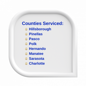 Florida Building Inspection Group logo Small