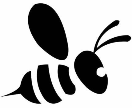 MarketBuzz: Your Ultimate Source for Financial Research and Insights