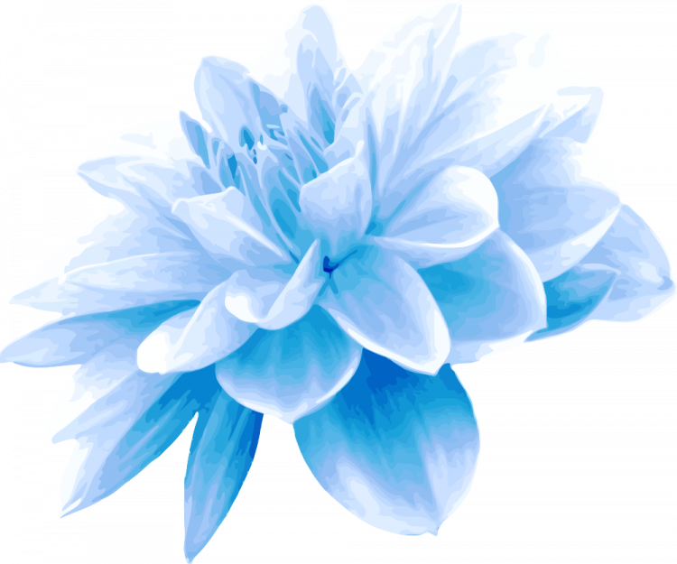 Infinite Love -The Reality Of Infinite Oneness