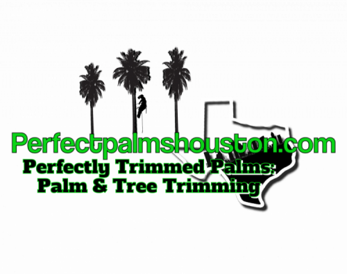 Tree Trimming Service near Houston, TX.