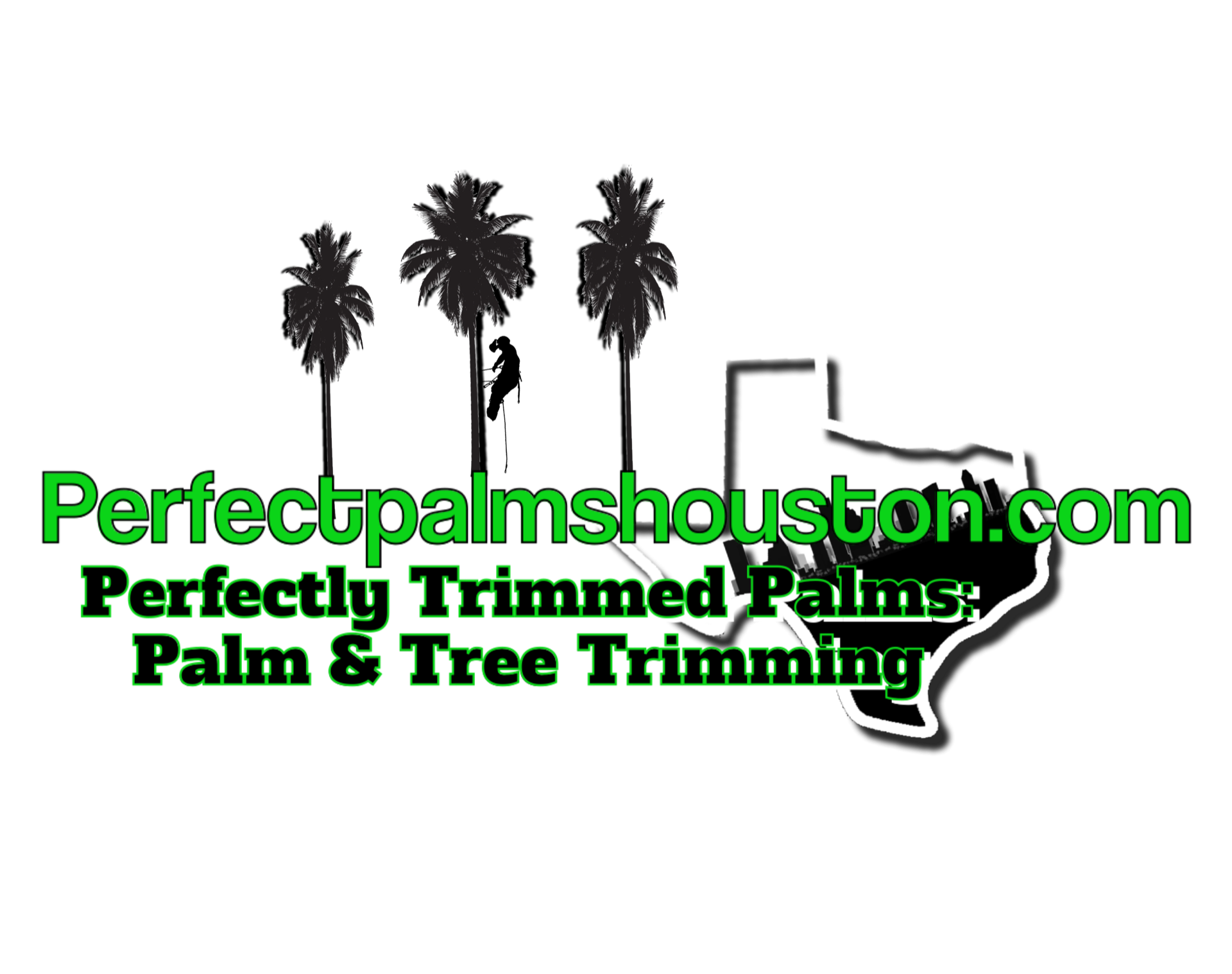 Dangerous Tree Limb Removal Near Houston Perfectly Trimmed Palms