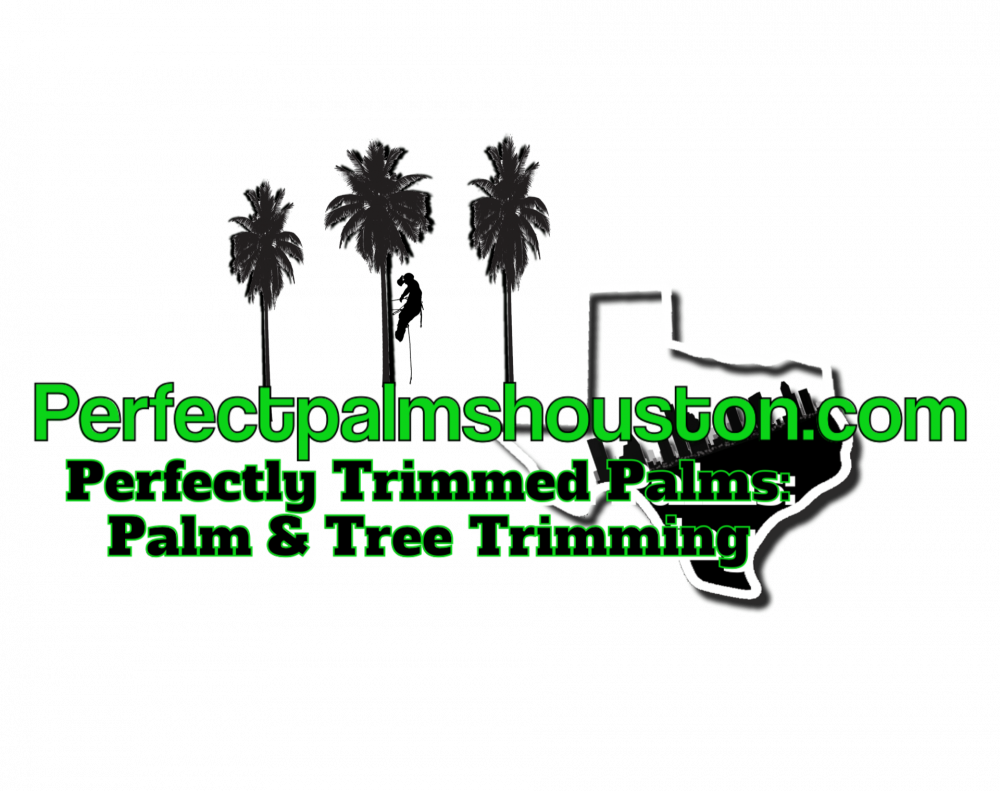 Logo for Perfectly Trimmed Palms who provides expert tree services near Houston.