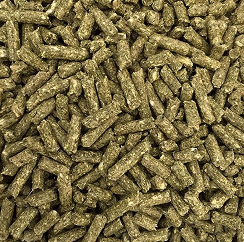 ChillaBox Home Chinchilla Food