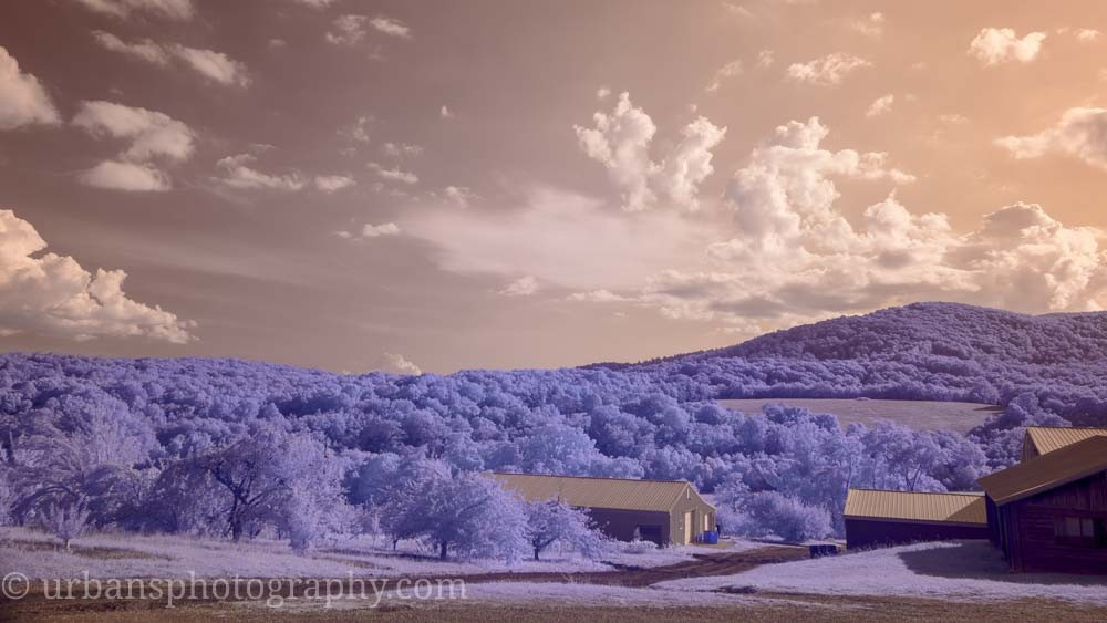 Peaks of Otter Vineyard in Infrared