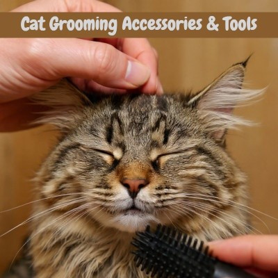 Cat grooming brushes and tools