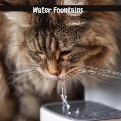 Filtered cat water fountain