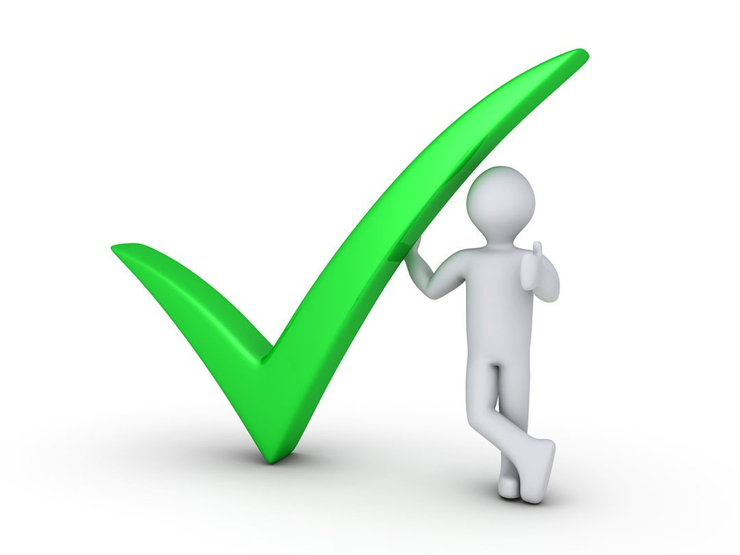 A checkmark for SERP rank tracking accuracy.