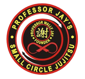 American Combat Sports Jujitsu - Home