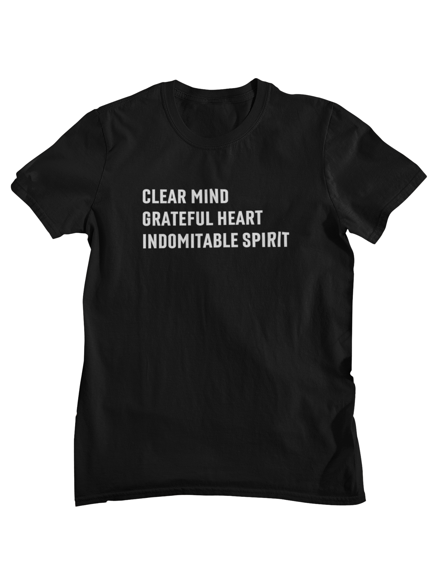 Clear Mind, Grateful Heart, Indomitable Spirit