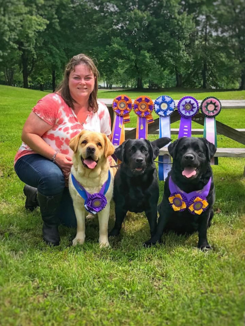 Mid Michigan Labrador Retriever Club, Inc.