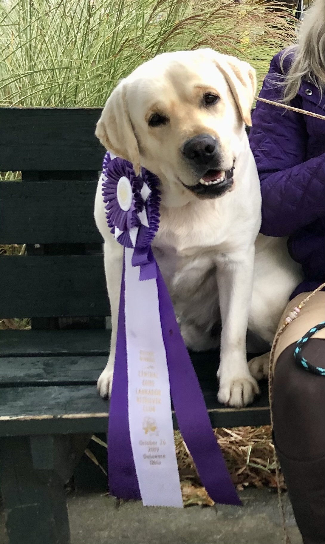 Mid Michigan Labrador Retriever Club, Inc.