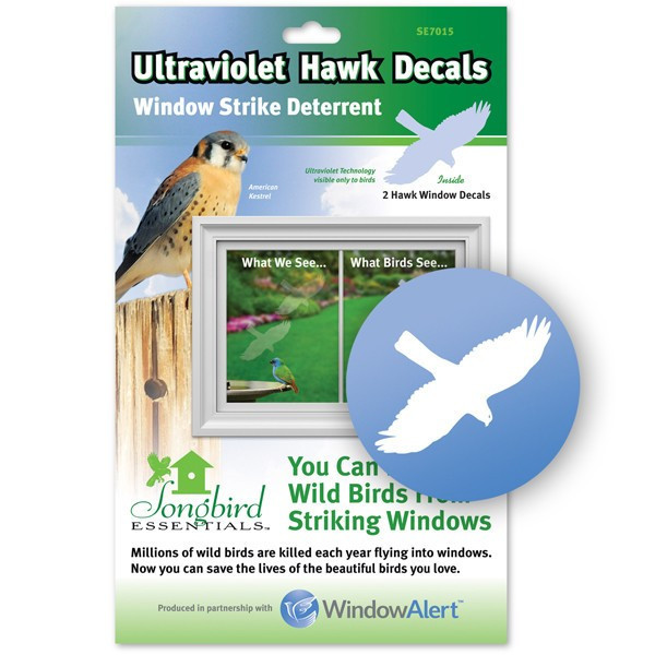 Red-Tailed Hawk Weatherproof Vinyl Sticker – Allison Stoiser Art