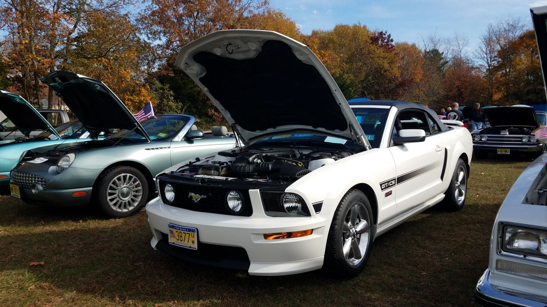 Sentimental Cruisers Nov 13 2021 (23)