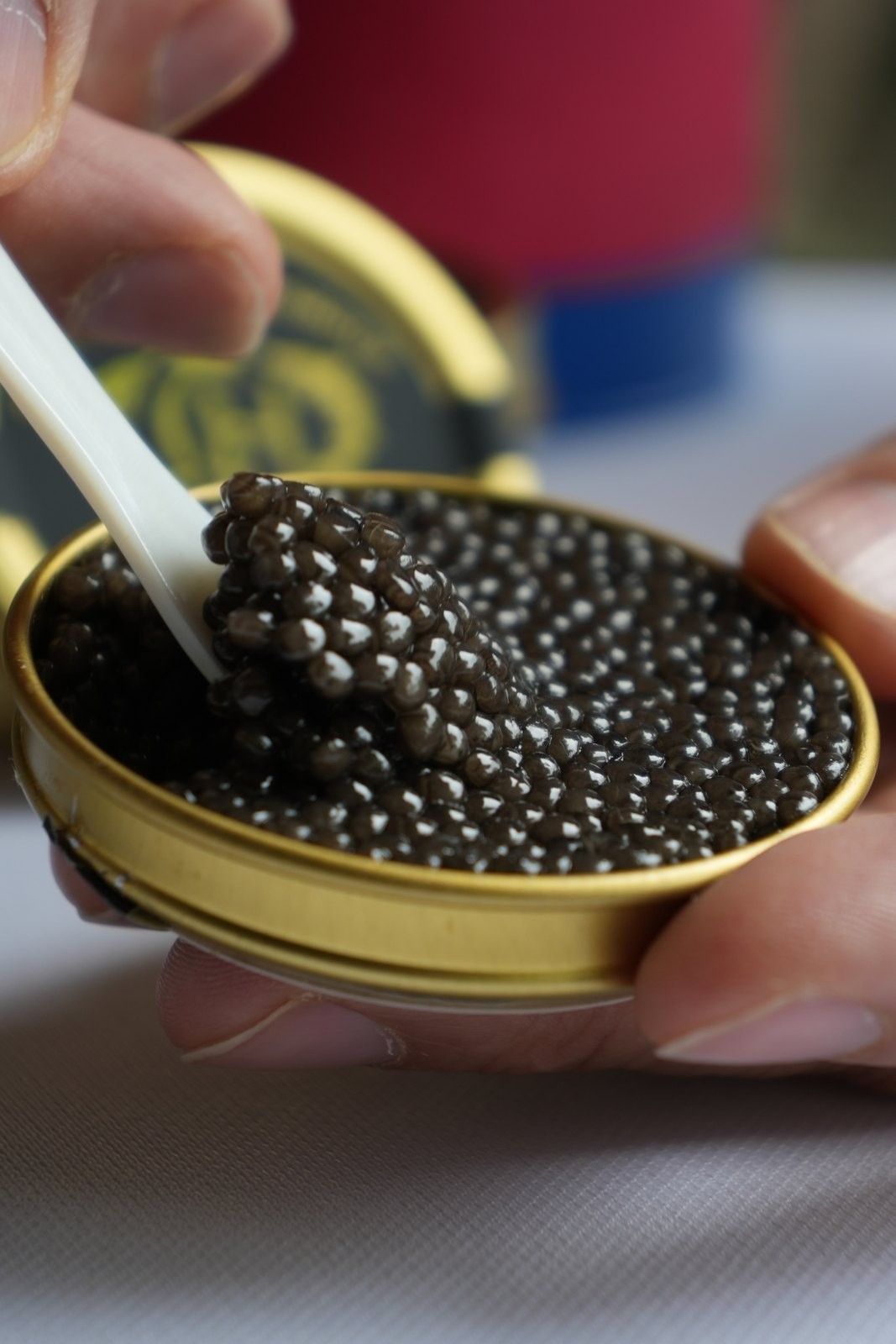 Open Sterlet tin