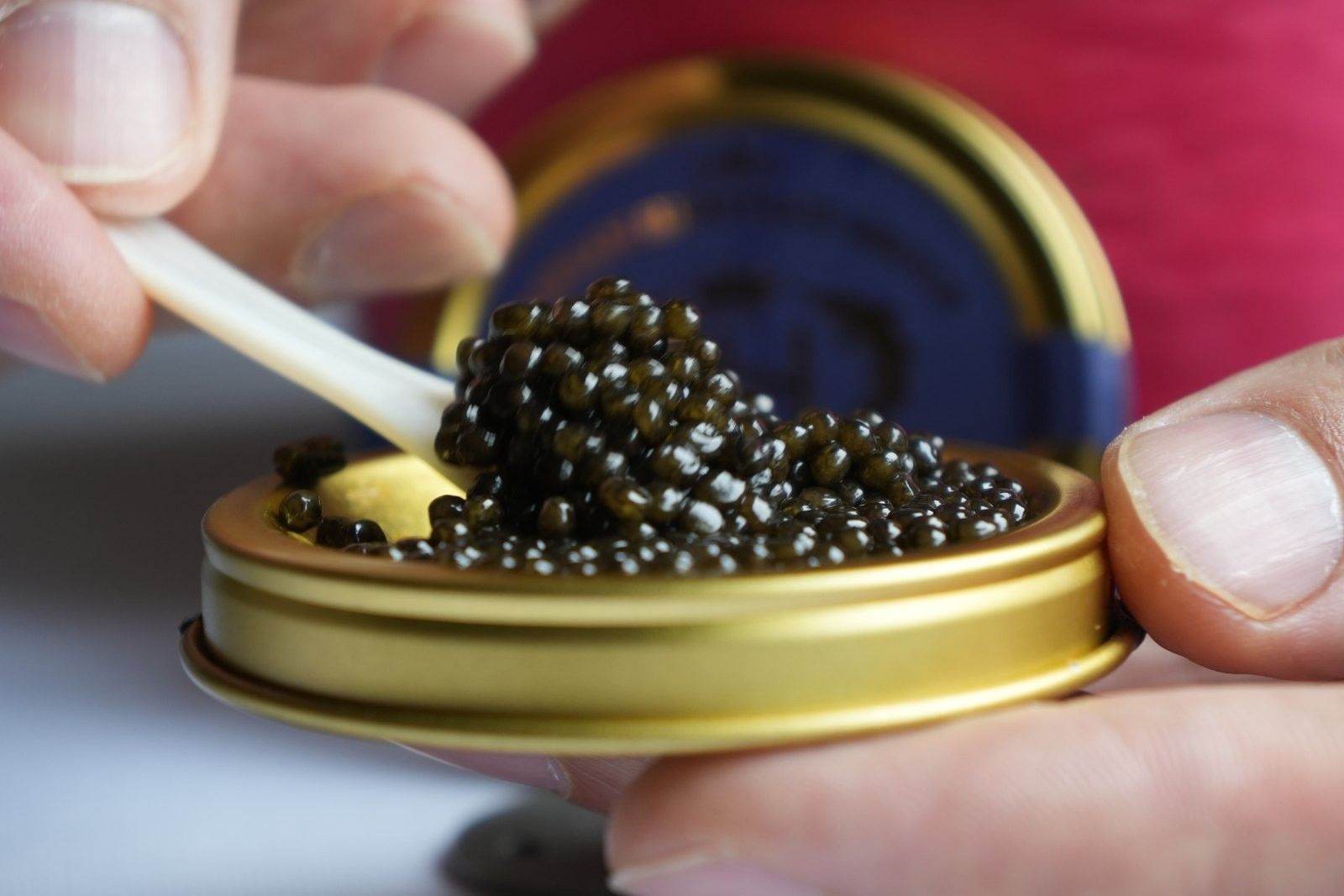 Open caviar tin