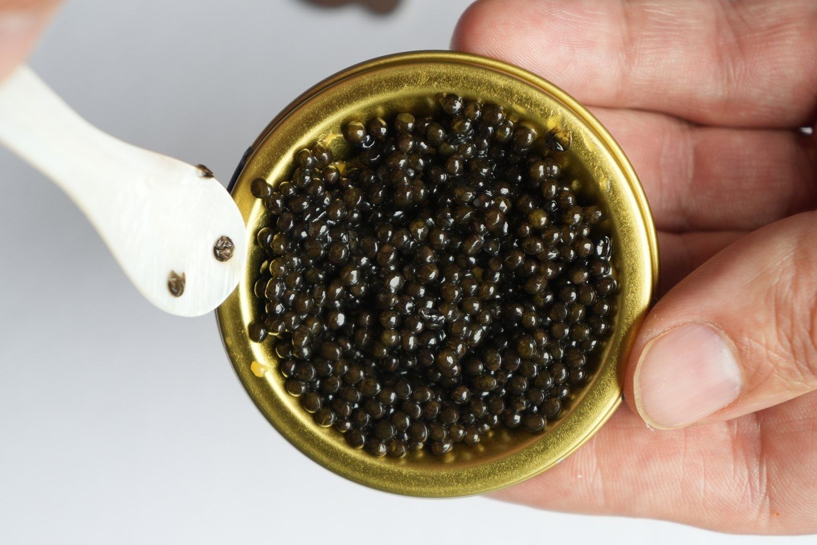 Caviar tin and spoon