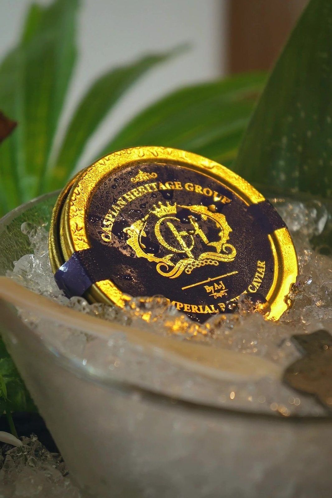 Caspian Heritage tin on ice